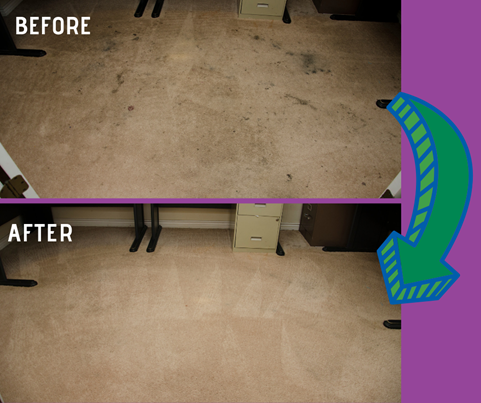 before and after carpet cleaning image in Rye Ny